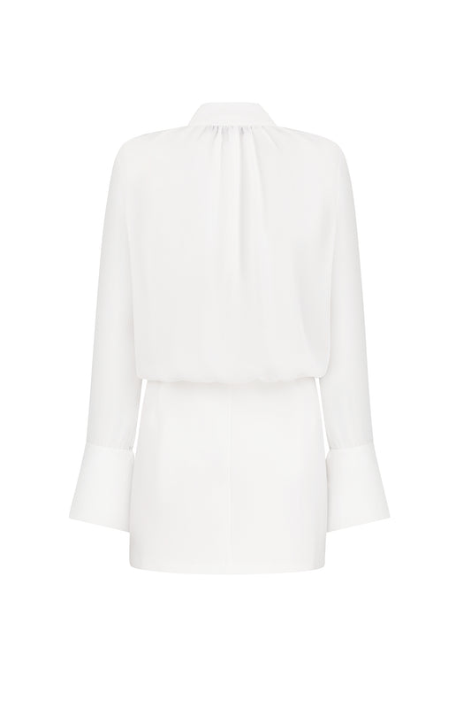 Flair Affair Dress
